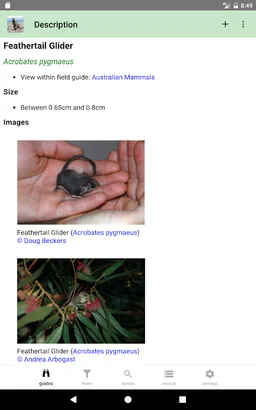 Australian Mammals screenshot 11