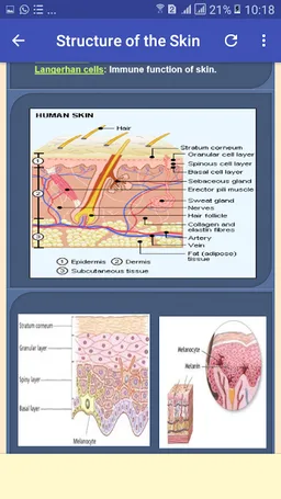 Dermatology AZ Skin Management screenshot 4