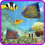 Aquarium and fishes icon
