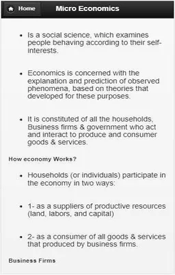 Micro economics screenshot 3