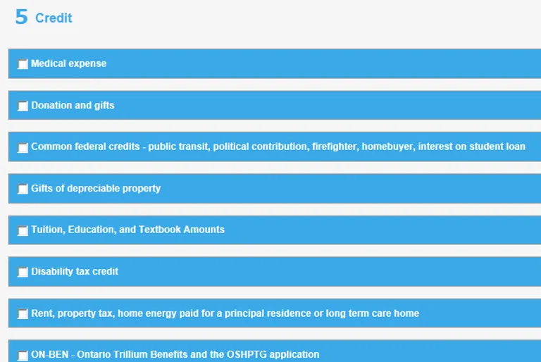 eFile Canadian Tax Return screenshot 8