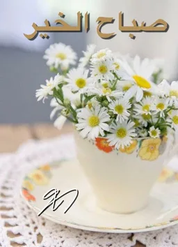 رسائل كلمات صباح و مساء الخير screenshot 3