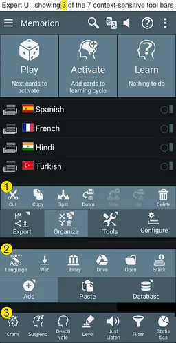 Memorion Flashcard Learning screenshot 4