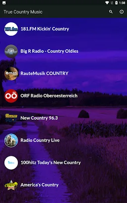 True Country Music - Radios screenshot 7