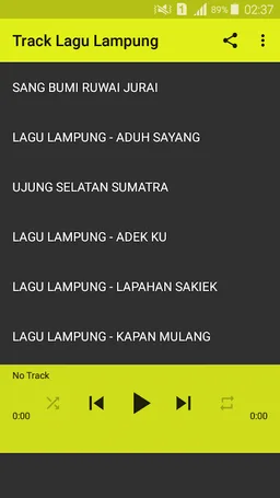MUSIK LAMPUNG OFLINE screenshot 2