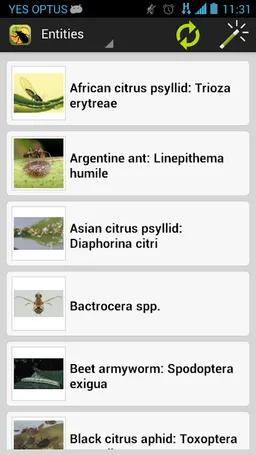 Citrus Pests Key screenshot 2