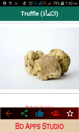 Islamic Medicines , Islamic treatment screenshot 5