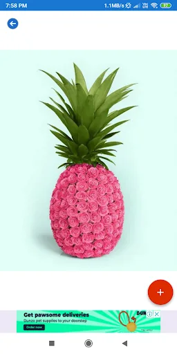 Pineapple HD Wallpapers screenshot 5