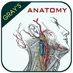 Gray's Anatomy - Anatomy Atlas icon