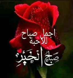 صور صباح الخير screenshot 3