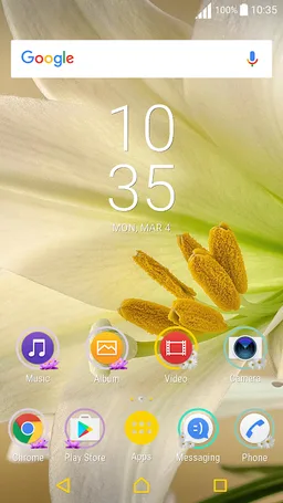 Flowers Timelapse Theme screenshot 10