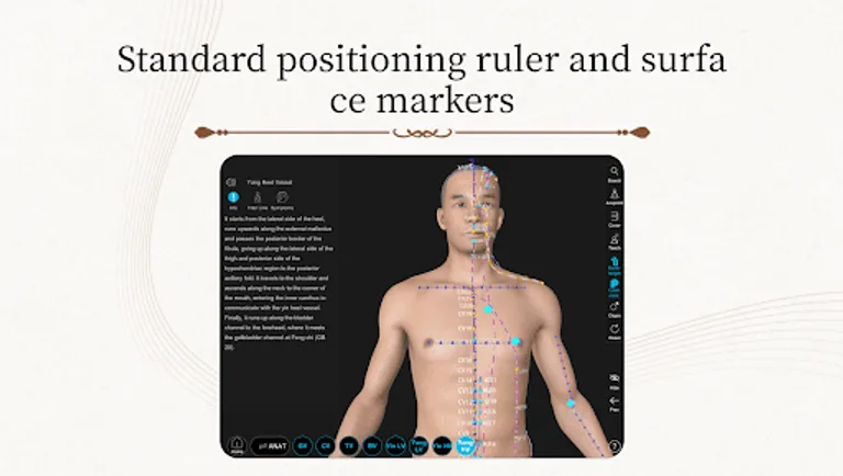 Acupuncture Master screenshot 12