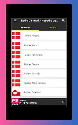 Radio Denmark FM - DAB Radio screenshot 8