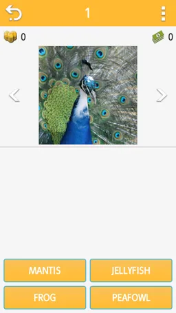 Guess Animal screenshot 8