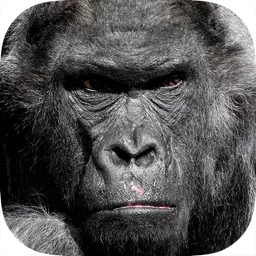 Real Gorilla vs Zombies - City icon