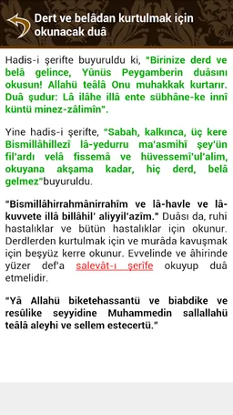 Dualar, Sureler, Ayetler screenshot 6