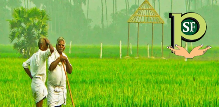 Prasad Seed cover image