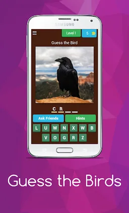 Birds guess screenshot 10
