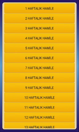 Hamile Takibi Bakımı Gelişimi screenshot 14
