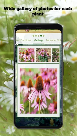 Medicinal Plants & Remedies screenshot 8