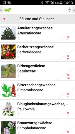 Bäume und Sträucher screenshot 3