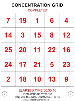 Concentration Grid screenshot 17