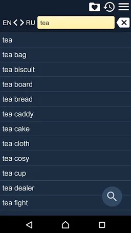 English Russian Dictionary screenshot 6
