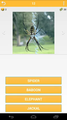 Guess Animal screenshot 2