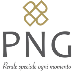 PNG icon