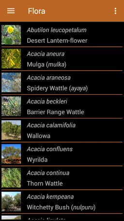 Flinders Ranges Walks screenshot 9