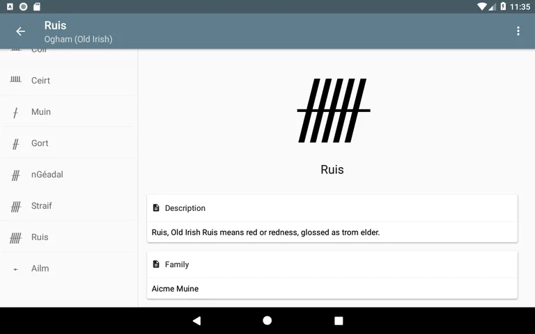 Write in Runic (Runes writer) screenshot 1