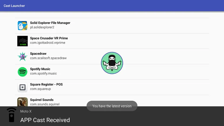 Cast Launcher screenshot 14