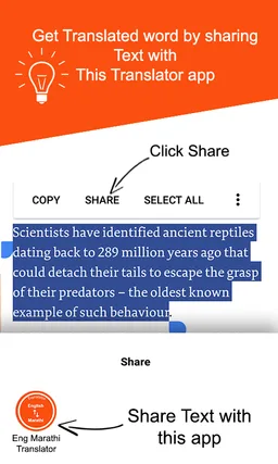 Marathi to English Translation screenshot 3