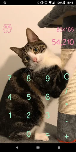 Cat Calculator screenshot 3