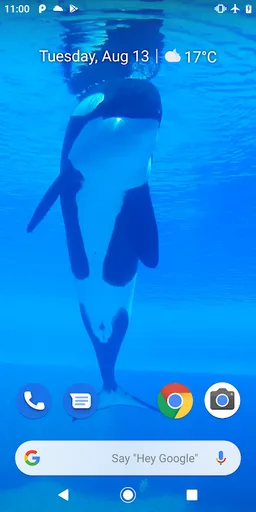 Orca Killer Whale Video Wallpaper screenshot 5