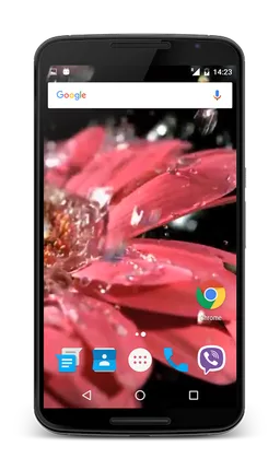 Raindrops on Flower Wallpaper screenshot 2
