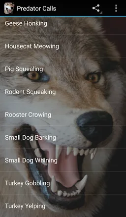 Predator Calls screenshot 1