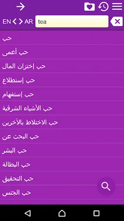 English Arabic Dictionary screenshot 9
