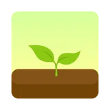 Forest: Stay focused icon