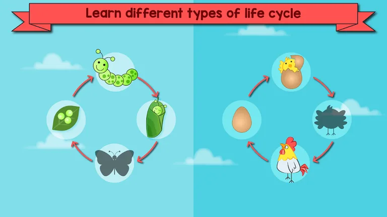 Kids Preschool Learning Games screenshot 9