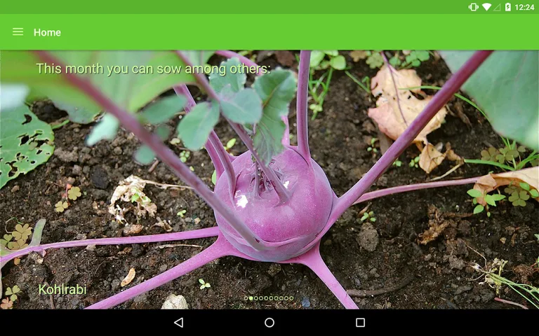 Gardroid - Vegetable Garden screenshot 7