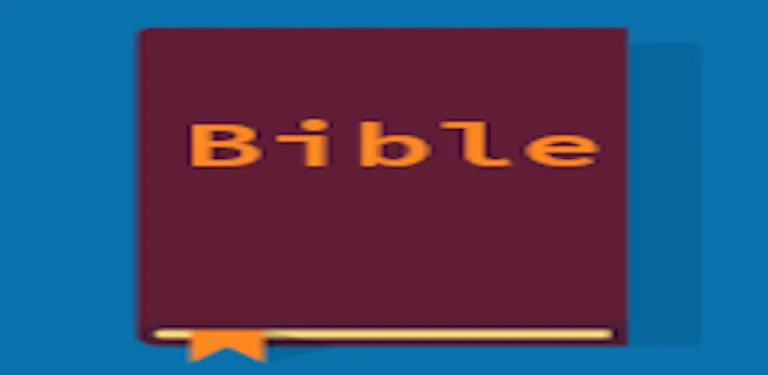 English Bible cover image