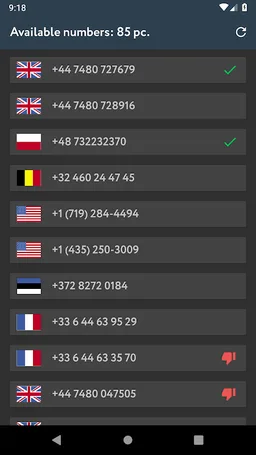 Online SMS Receive screenshot 4