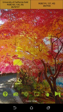 Color Grab screenshot 1