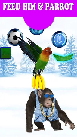 Funny Talking Monkey screenshot 8
