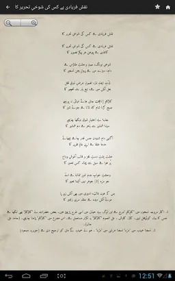 Deewan-e-Ghalib screenshot 19