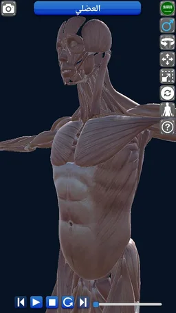 Anatomy 3D screenshot 12