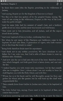 Bible KJV Pro screenshot 3