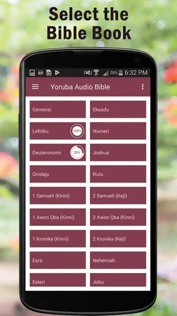 Yoruba Audio Bible Old/New KJV screenshot 1