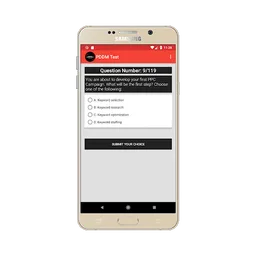 Diploma in Digital Marketing Practice Test screenshot 10